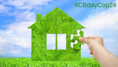 icccad_cbday_cop24